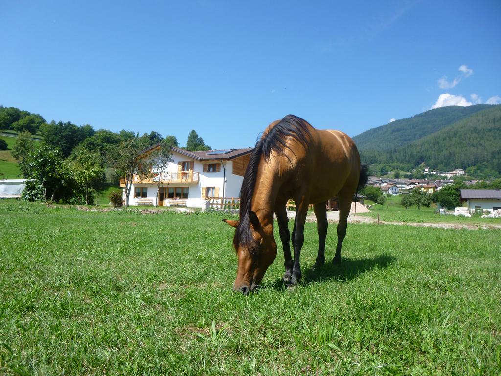 Agriturismo Fattoria Dalcastagne Torcegno Экстерьер фото