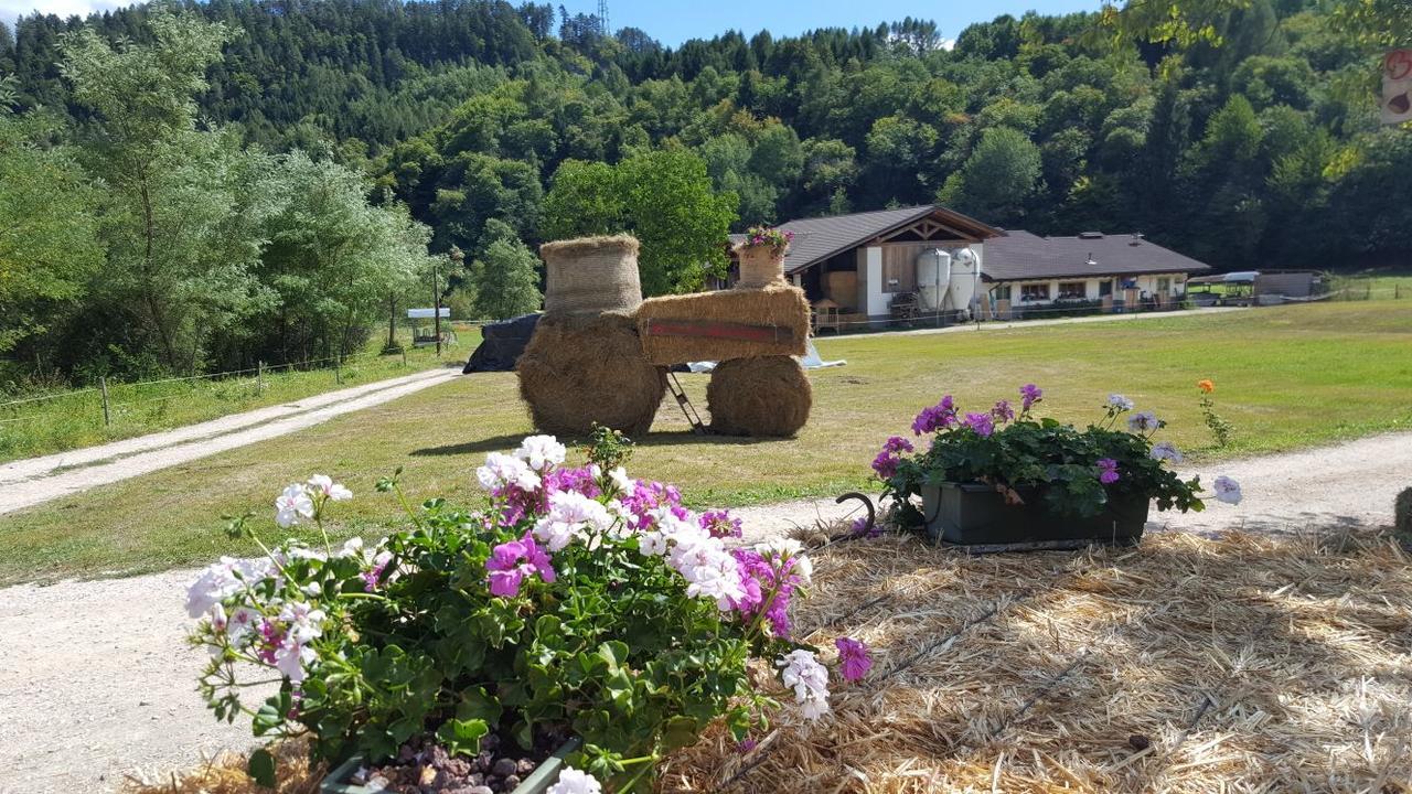 Agriturismo Fattoria Dalcastagne Torcegno Экстерьер фото