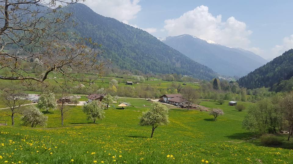 Agriturismo Fattoria Dalcastagne Torcegno Экстерьер фото